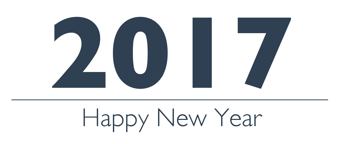 Happy New Year 2017! Back to business